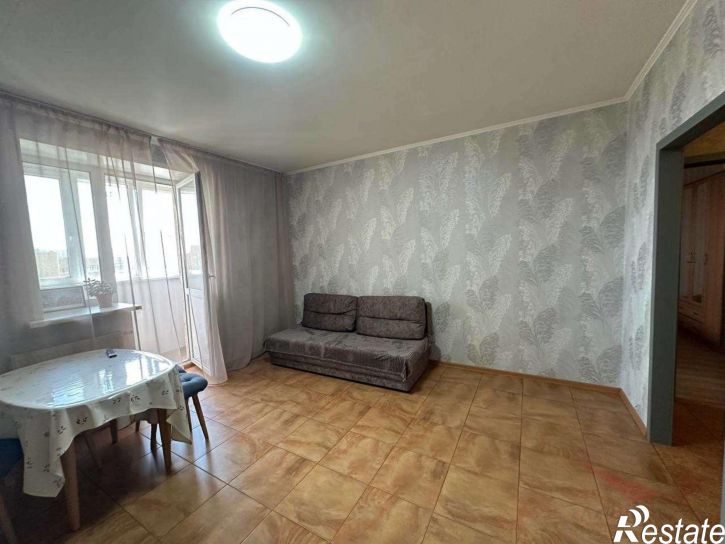 1-комн квартира Пушкина улица, 227