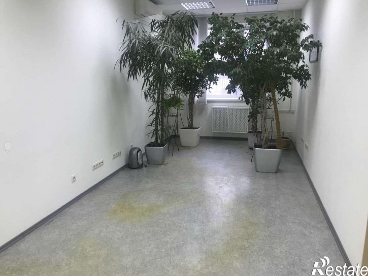 Офис Санфировой улица, 95к1