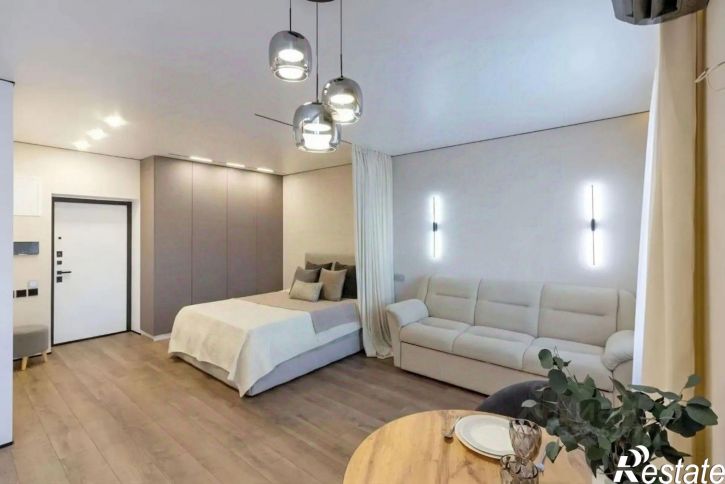 1-комн квартира ул Пушкина, 223,  д. 223