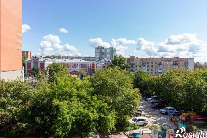 1-комн квартира ул Пушкина, 223,  д. 223