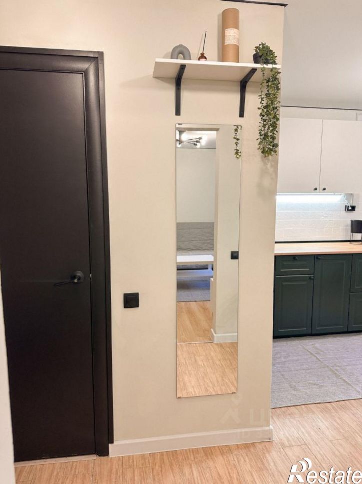 1-комн квартира ул Николая Панова, 50,  д. 50