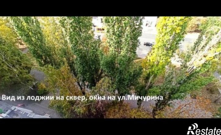 3-комн квартира ул Мичурина, 9,  д. 9