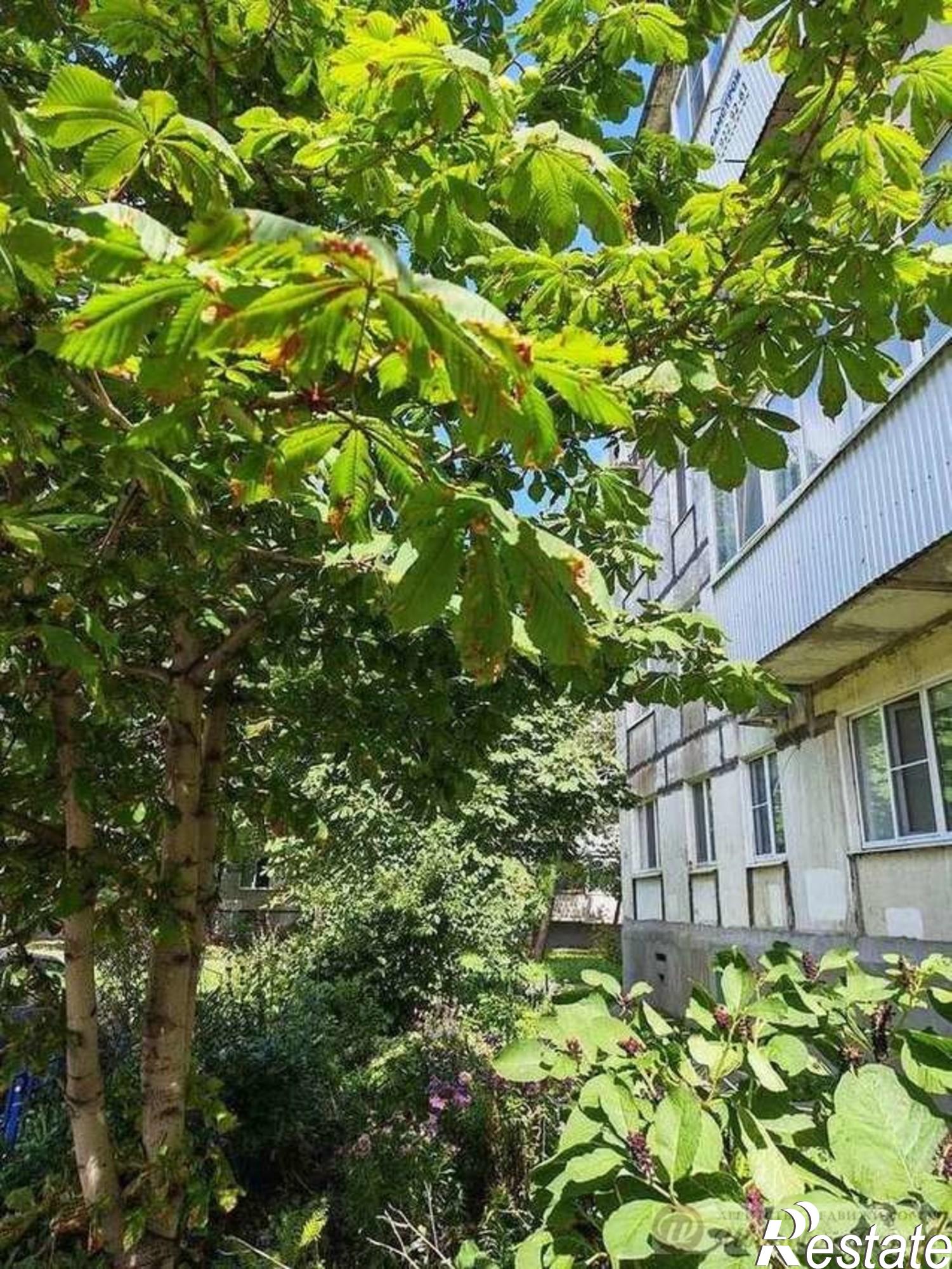 Купить квартиру за 2 900 000 рублей на Бакинская улица, 30а