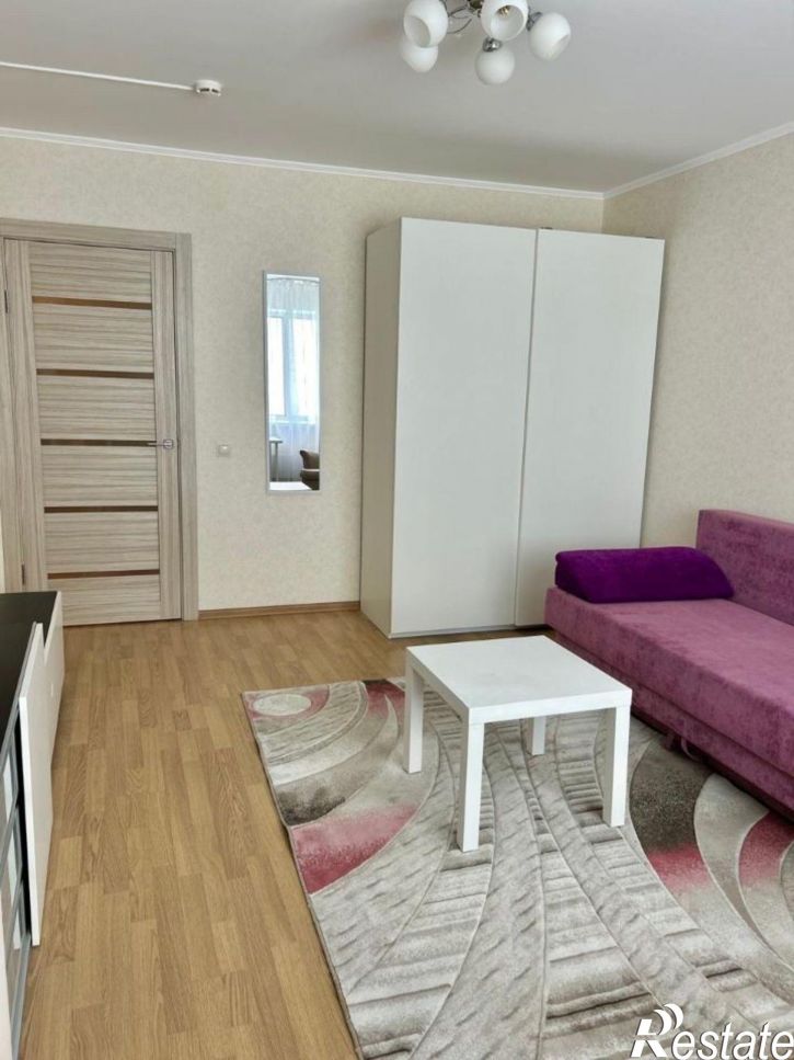 1-комн квартира ул Мяги, 24Б,  д. 24Б