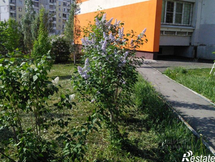 3-комн квартира Ново-Садовая улица, 228,  д. 228