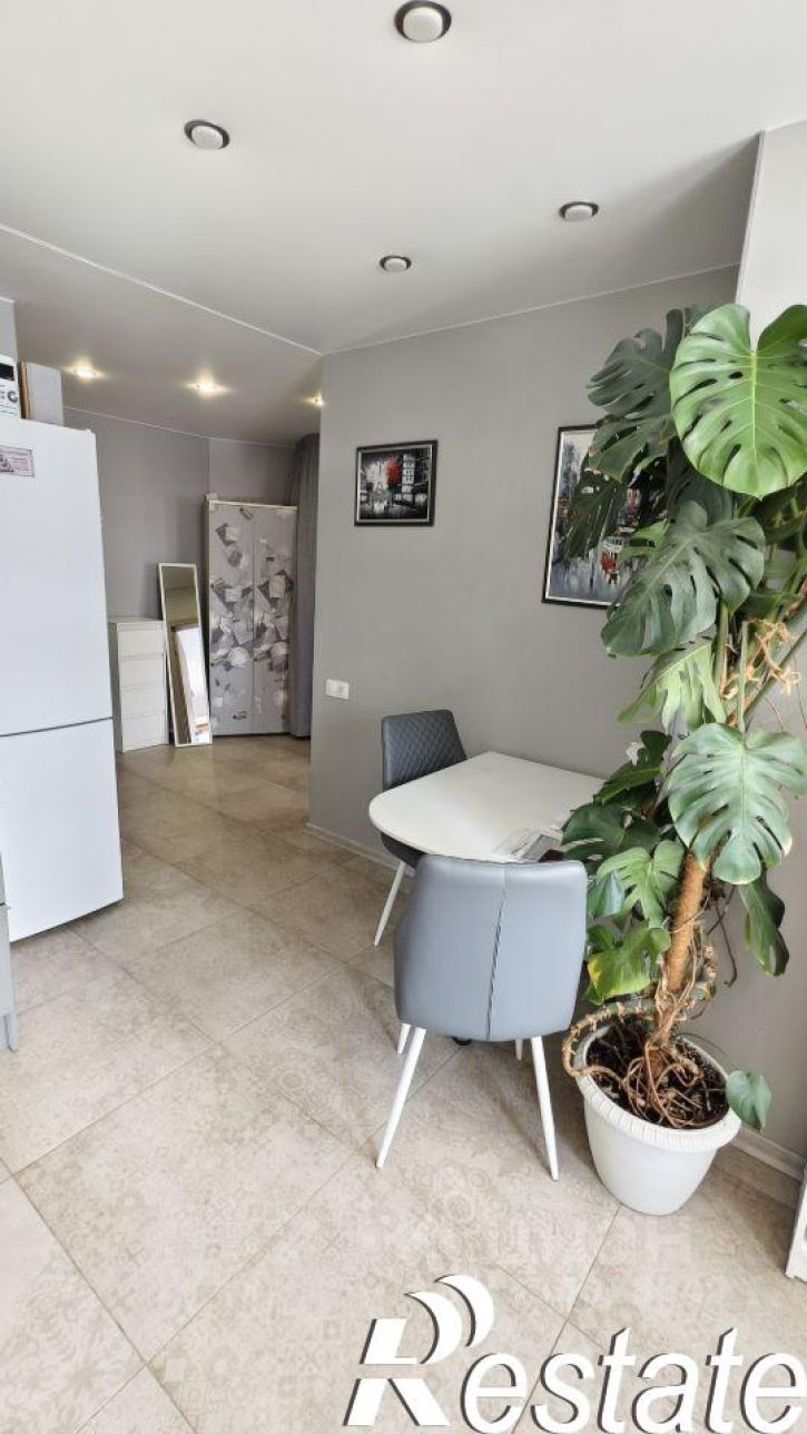 1-комн квартира улица Николая Панова, 28А,  д. 28А