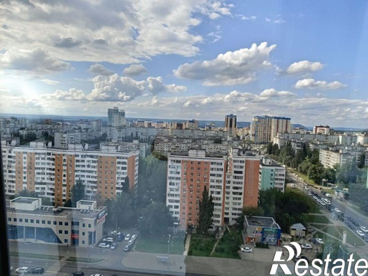 1-комн квартира Московское шоссе (дублер), 199,  д. 199