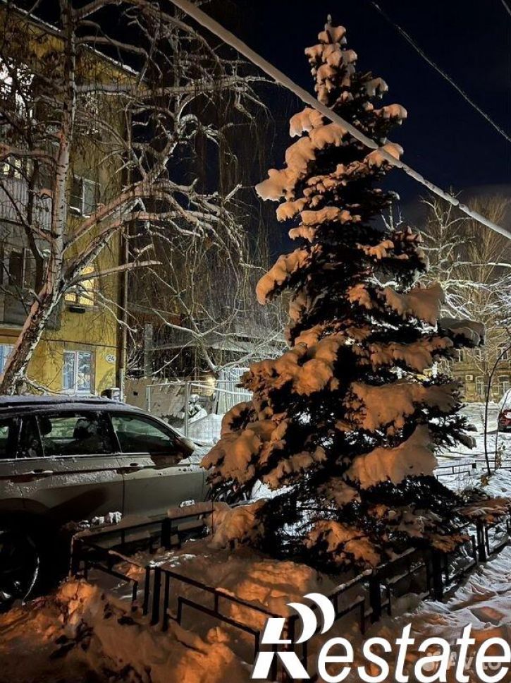 Отдельное здание Песочный переулок, 21,  д. 21