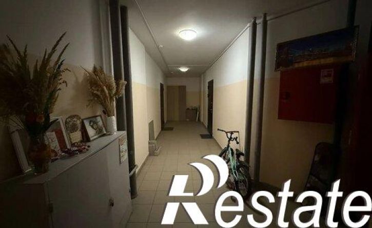 1-комн квартира улица Петра Алабина, 2,  д. 2